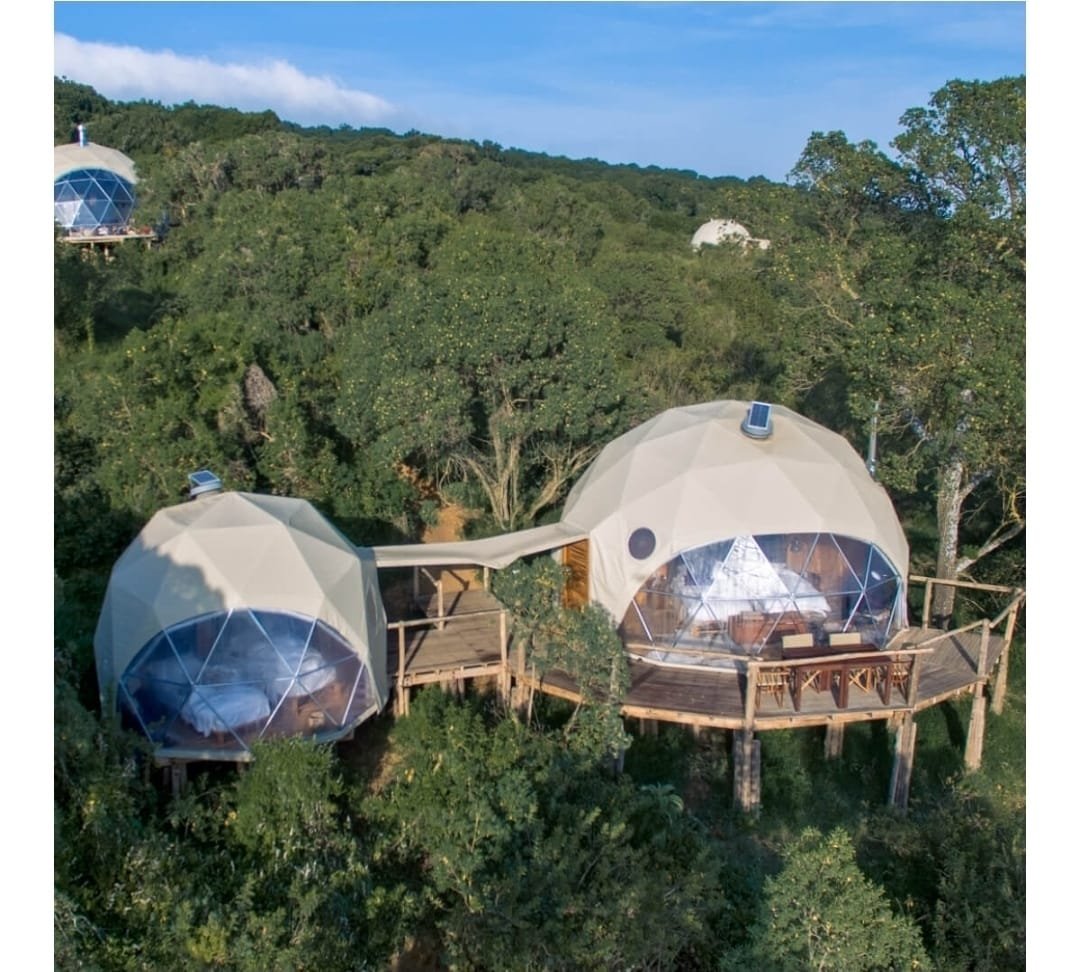 Premium lodge suite with panoramic savannah views